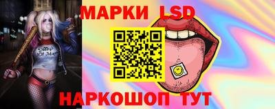 гидропоника Донской