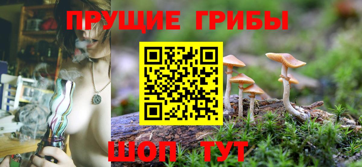 Псилоцибиновые грибы мухоморы Можайск